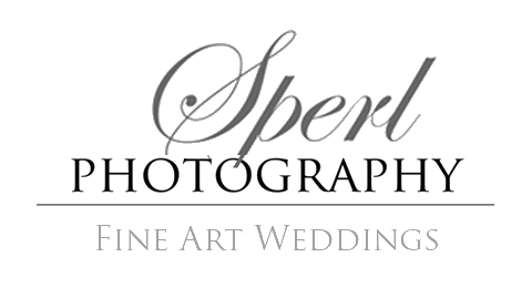 Wolfgang Sperl Wedding Photography, Hochzeitsfotograf · Video Stuttgart, Logo