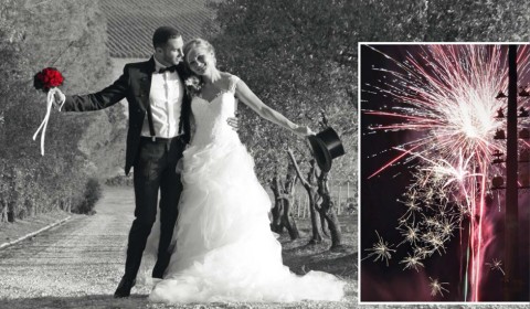 Frey Fireworks UG, Feuerwerk · Lasershow Langenargen, Kontaktbild